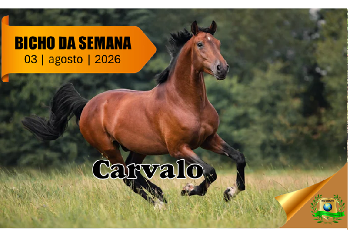 Cavalo