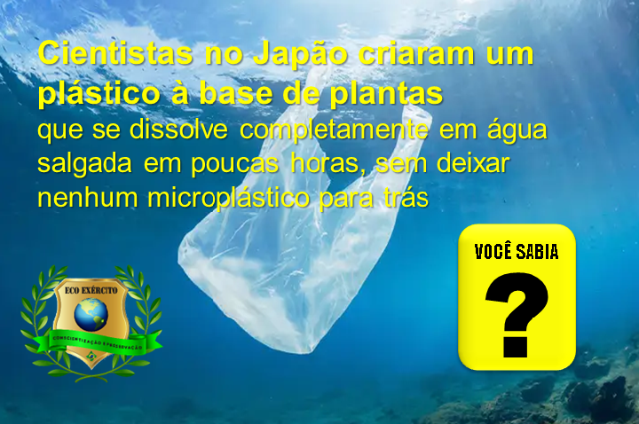 Pesquisadores japoneses criam plástico que se dissolve em água salgada