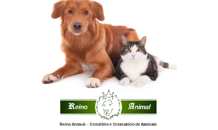 Reino Animal