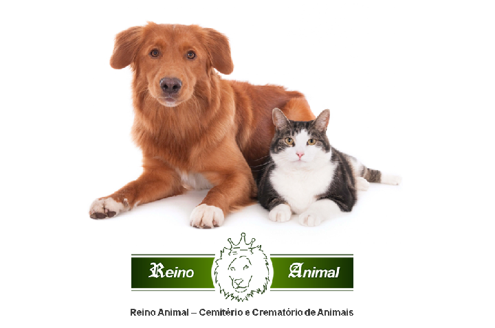 Reino Animal