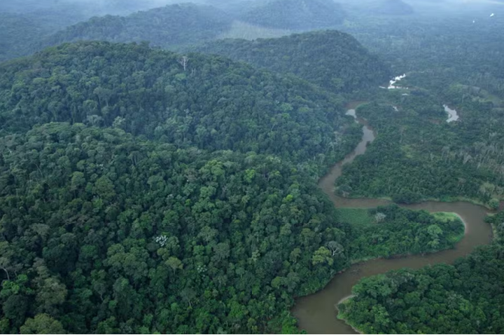 Reserva biológica federal mais antiga do Brasil completa 52 anos de preservação ambiental