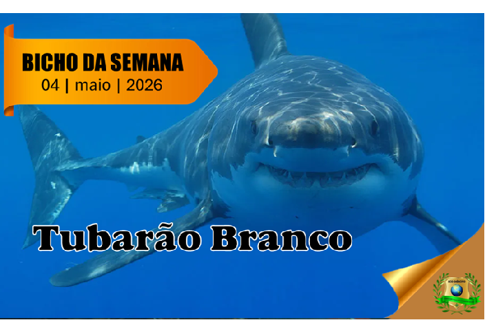 Tubarão Branco