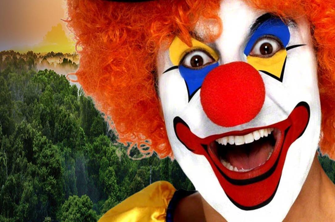 CPI abre caixa preta e divulga quanto ONGS da Amazônia receberam