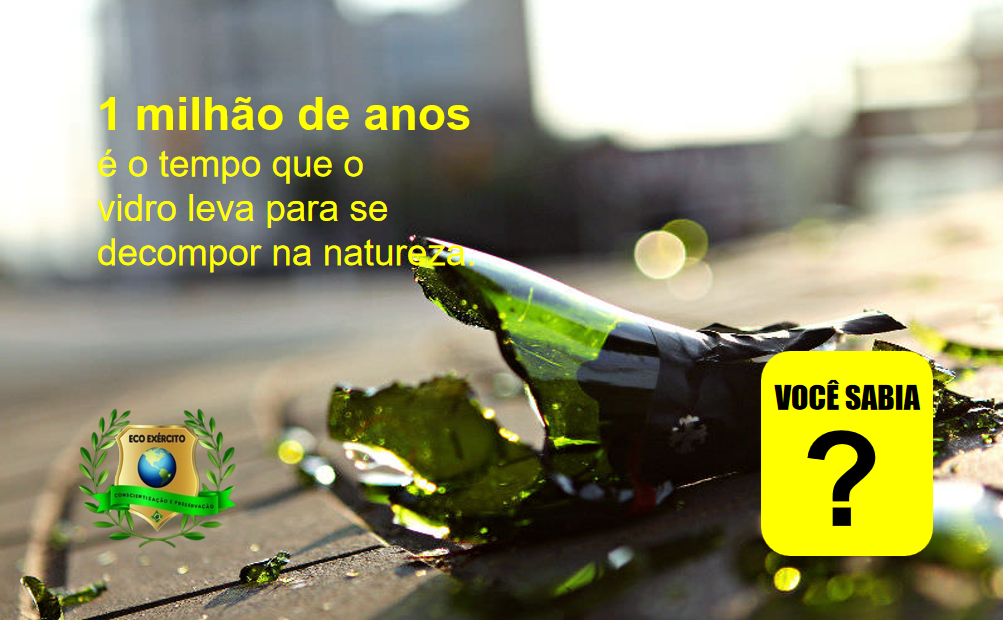 Milhões de vidros são lançados na natureza