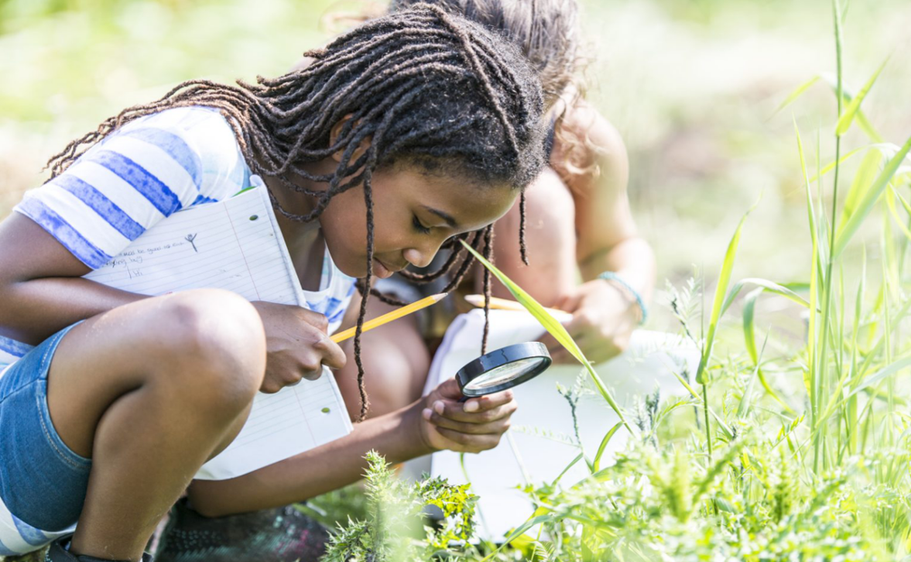 O que é Educação Ambiental?