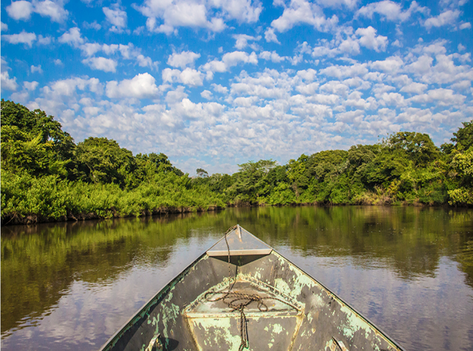 Pantanal Matrogrossense