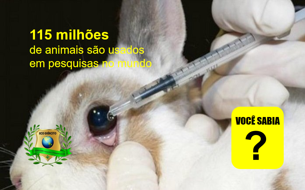 Que animais ainda são utilizados em pesquisas nas industrias