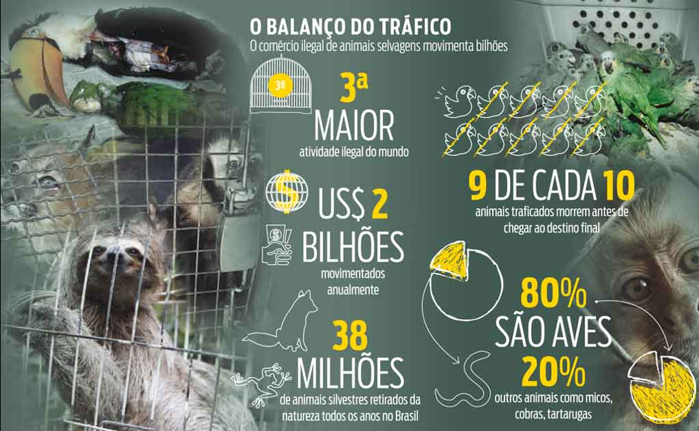 Tráfico de Animais Silvestres