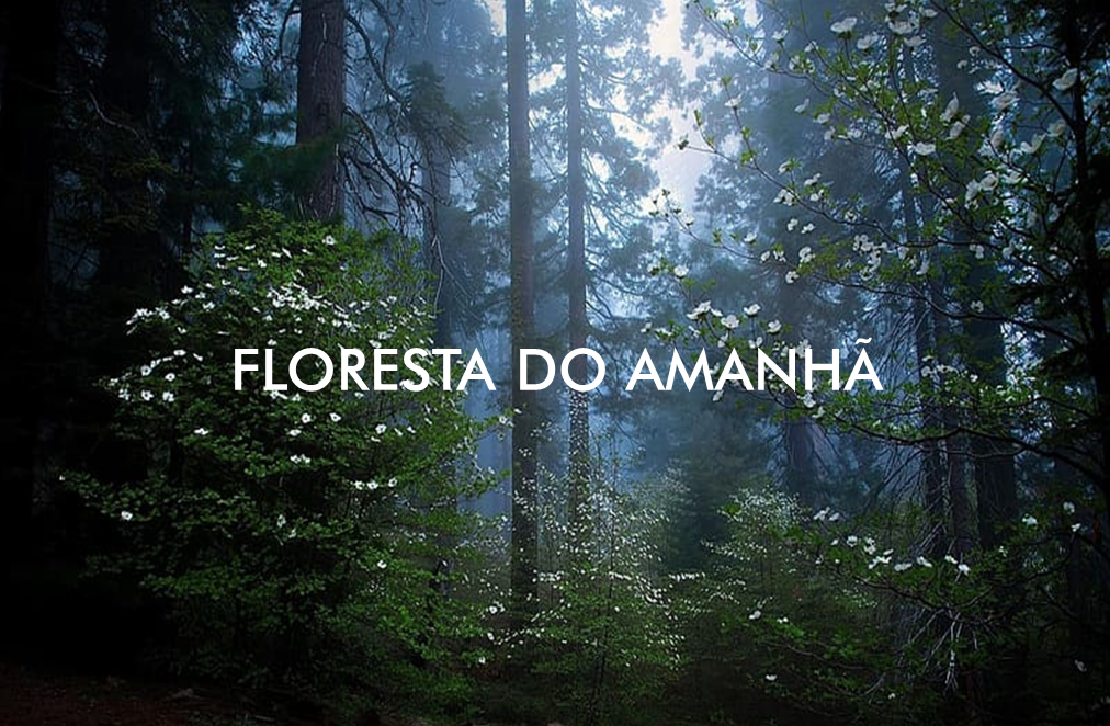 FLORESTA DO AMANHÃ
