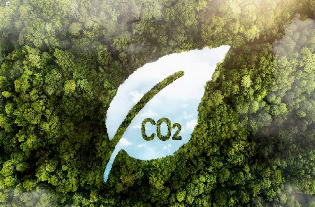 Você sabia que a Câmara dos Deputados aprovou a regulamentação do mercado de carbono no Brasil