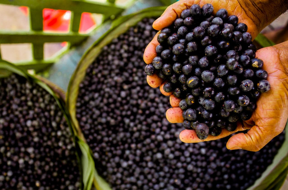 Açaí
