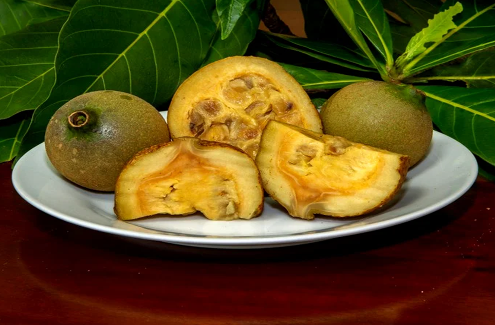 Jenipapo