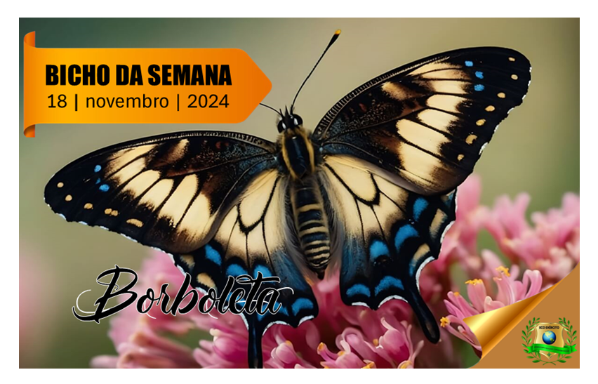 Borboleta