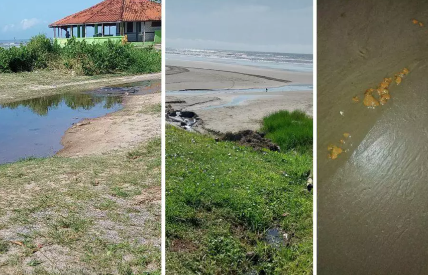 Fezes e esgoto contaminam praia do litoral de São Paulo