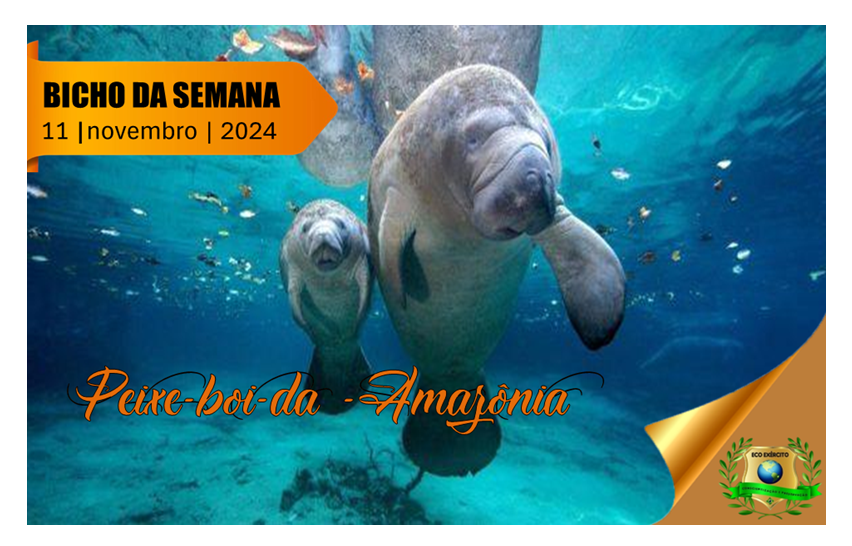 Peixe-boi-da-Amazônia