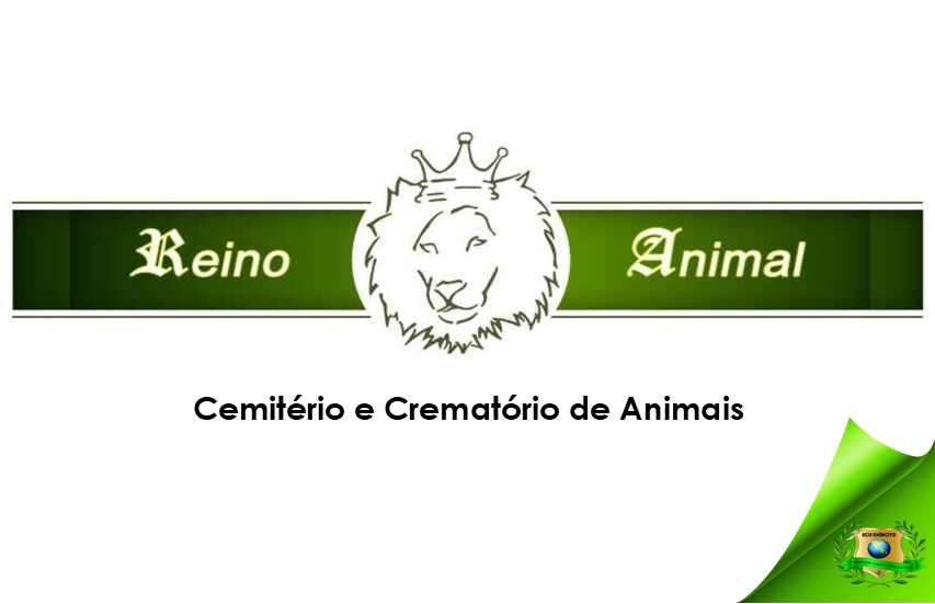 Reino Animal