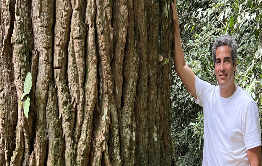 ‘A Mata Atlântica está morrendo’