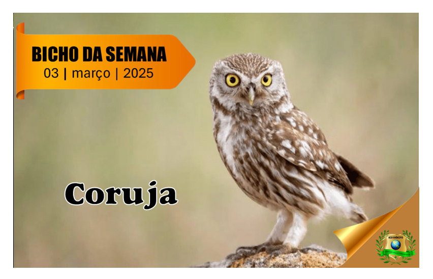 Coruja