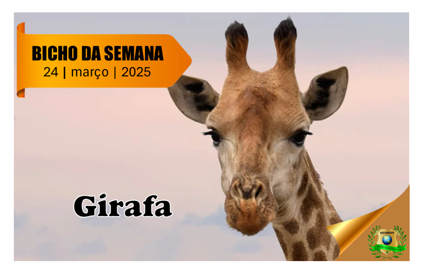 Girafa
