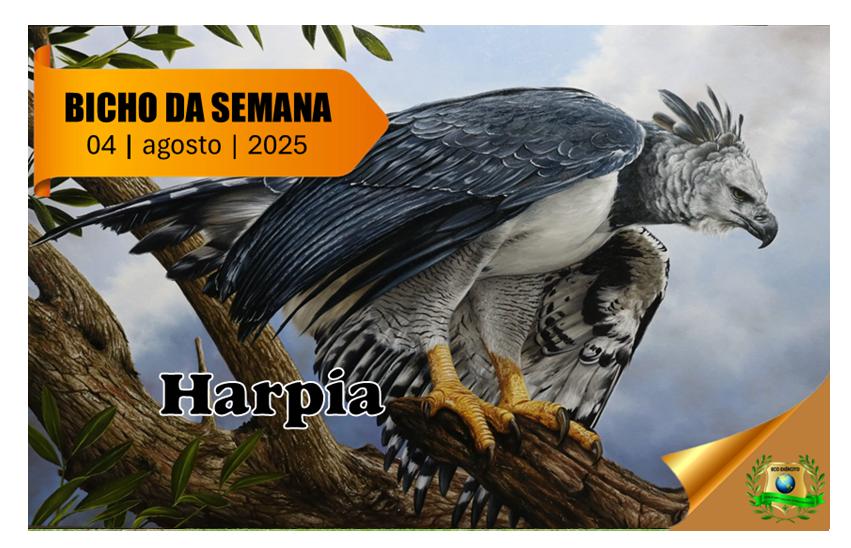 Harpia