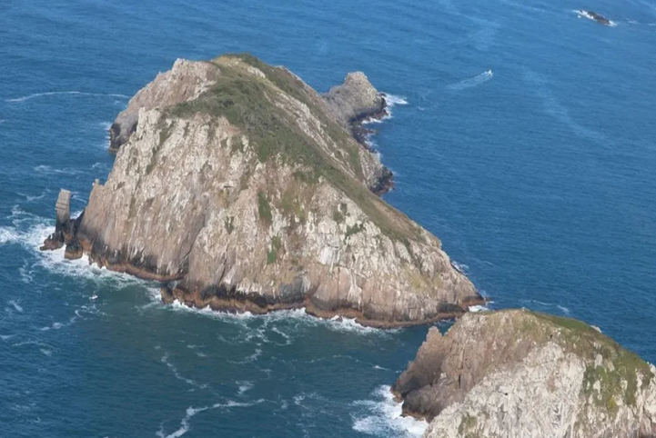 Ilha no Sul do Brasil abriga o mamífero mais raro do mundo