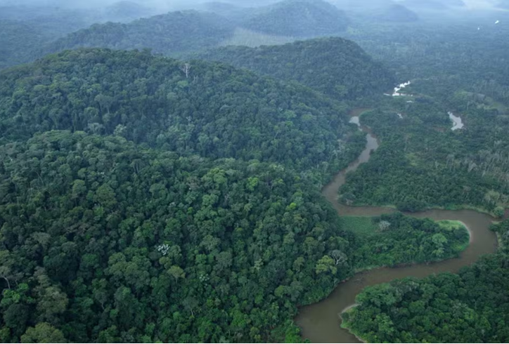 Reserva biológica federal mais antiga do Brasil completa 52 anos de preservação ambiental