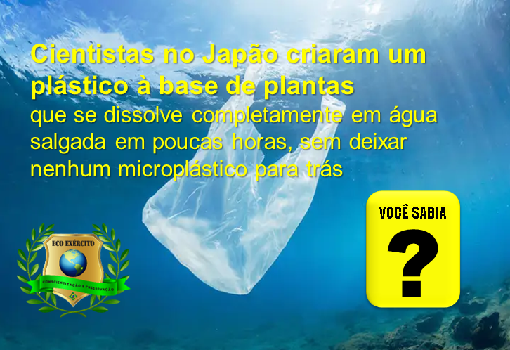 Pesquisadores japoneses criam plástico que se dissolve em água salgada