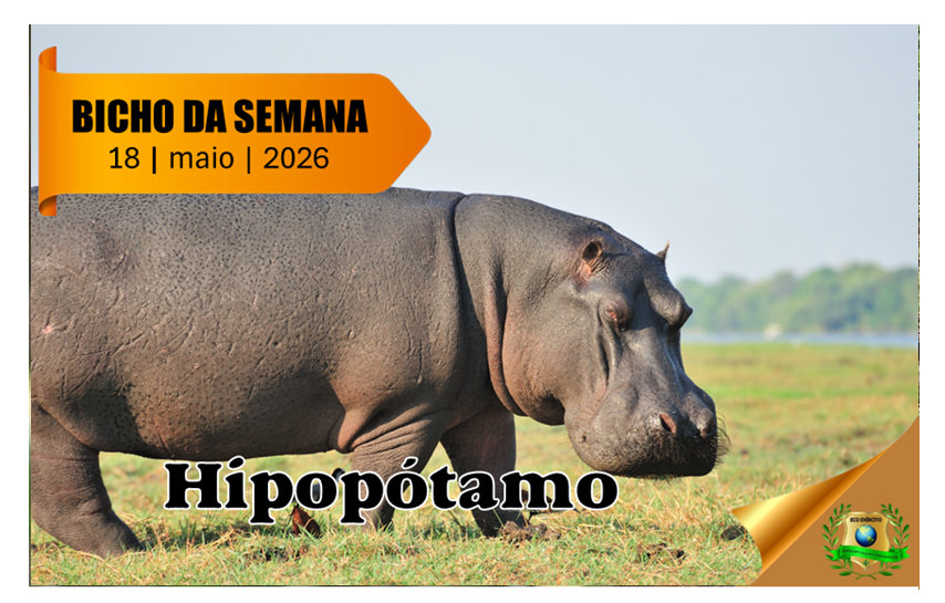 Hipopótamo
