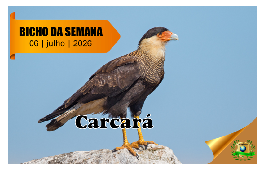 Carcará