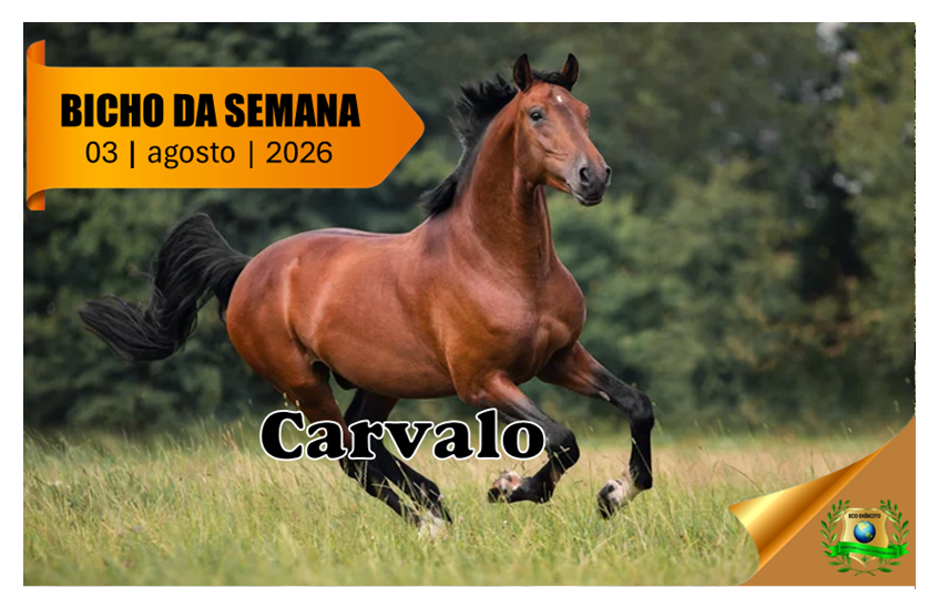 Cavalo